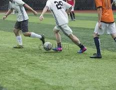 蓉城雄狮再,战亚冠,天球荒终破,开云体育官网,开云体育app,开云体育下载,开云官网