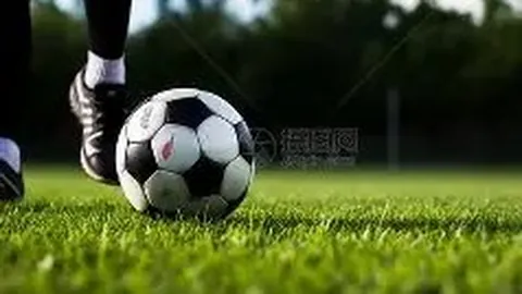 开云APP体育 资讯 100346 wro