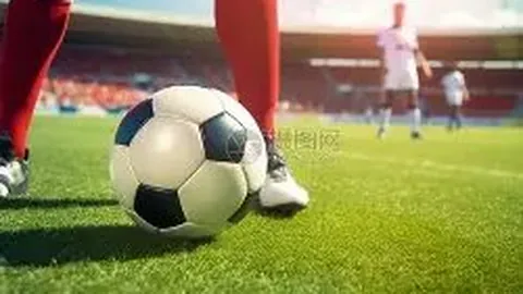 开云APP体育 资讯 133702 3n2