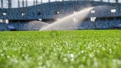 开云APP体育 资讯 102928 wi5