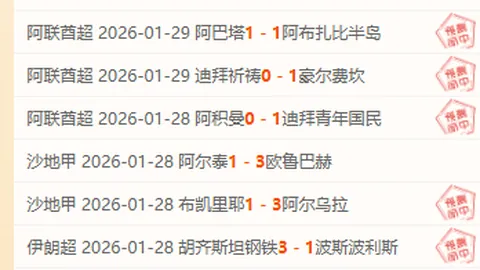 里斯与詹姆斯：连战连捷的奋斗历程，伤病锻造非凡成就